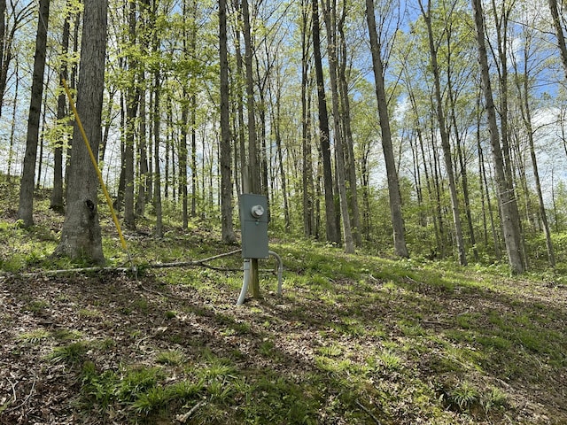 411 Alum Cave Rd, Annville, KY 40402 - view of nature