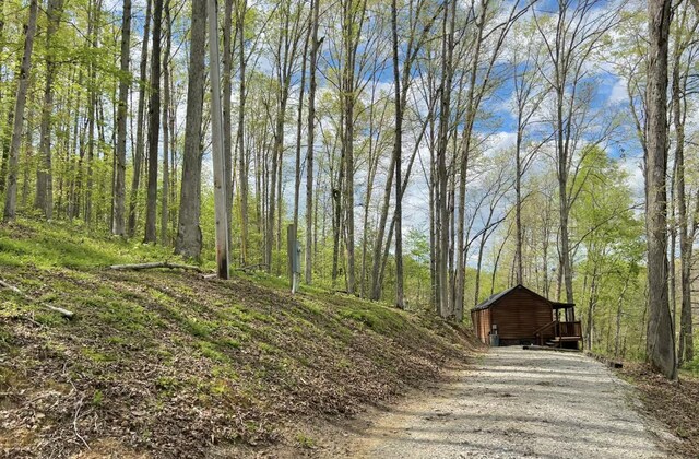 411 Alum Cave Rd, Annville, KY 40402 - view of road featuring a view of trees