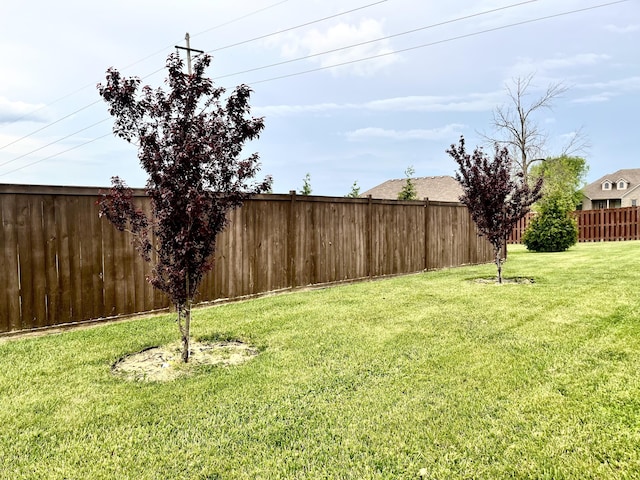 1500 Chardonnay Way, Berea, KY 40403 - view of yard