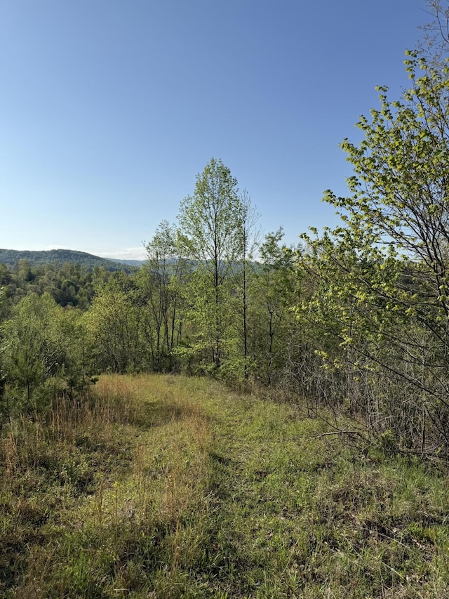 1 Low Gap Rd, Pine Knot, KY 42635