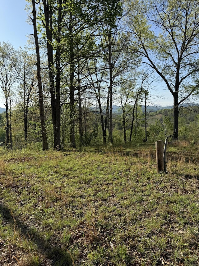 1 Low Gap Rd, Pine Knot, KY 42635