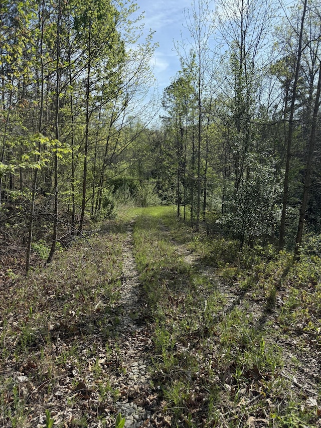1 Low Gap Rd, Pine Knot, KY 42635