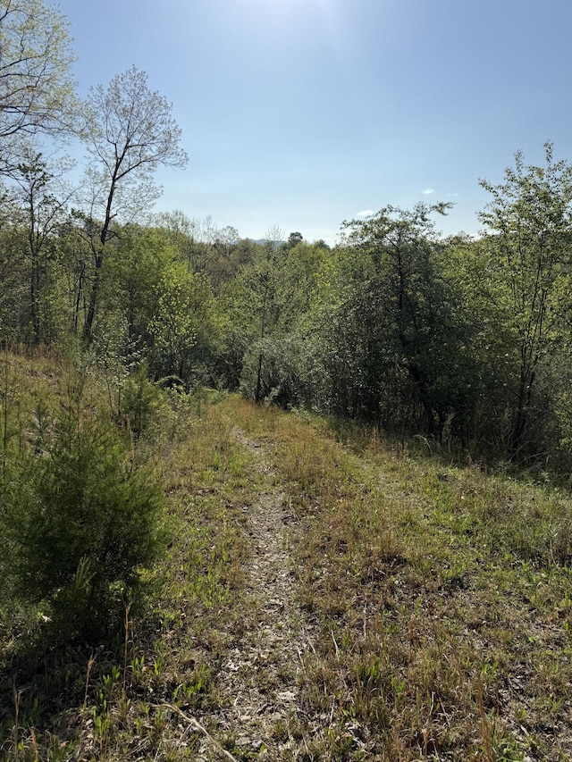 1 Low Gap Rd, Pine Knot, KY 42635
