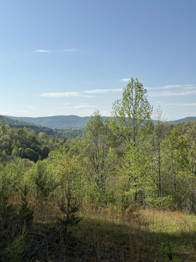 1 Low Gap Rd, Pine Knot, KY 42635
