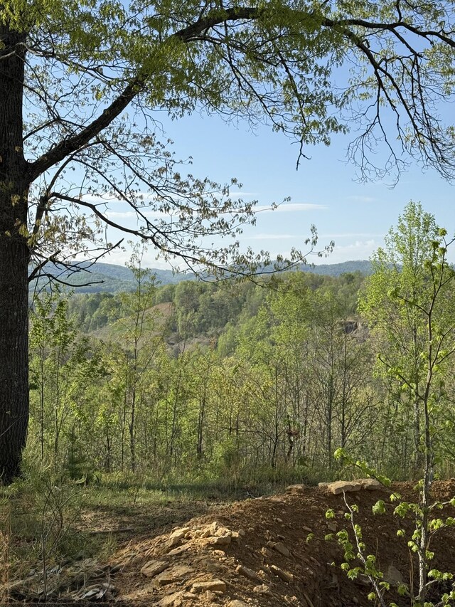 1 Low Gap Rd, Pine Knot, KY 42635