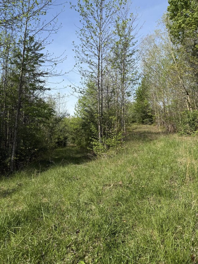 1 Low Gap Rd, Pine Knot, KY 42635