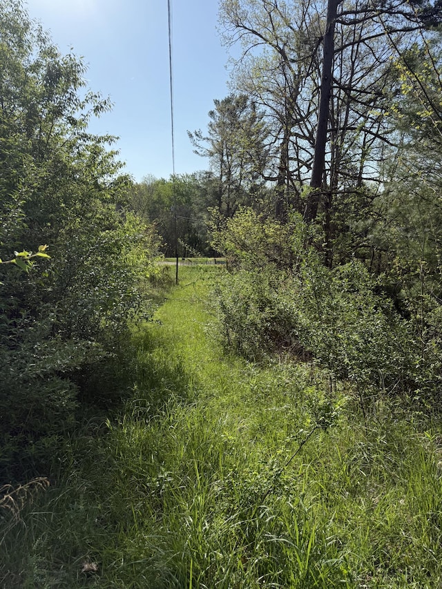 1 Low Gap Rd, Pine Knot, KY 42635