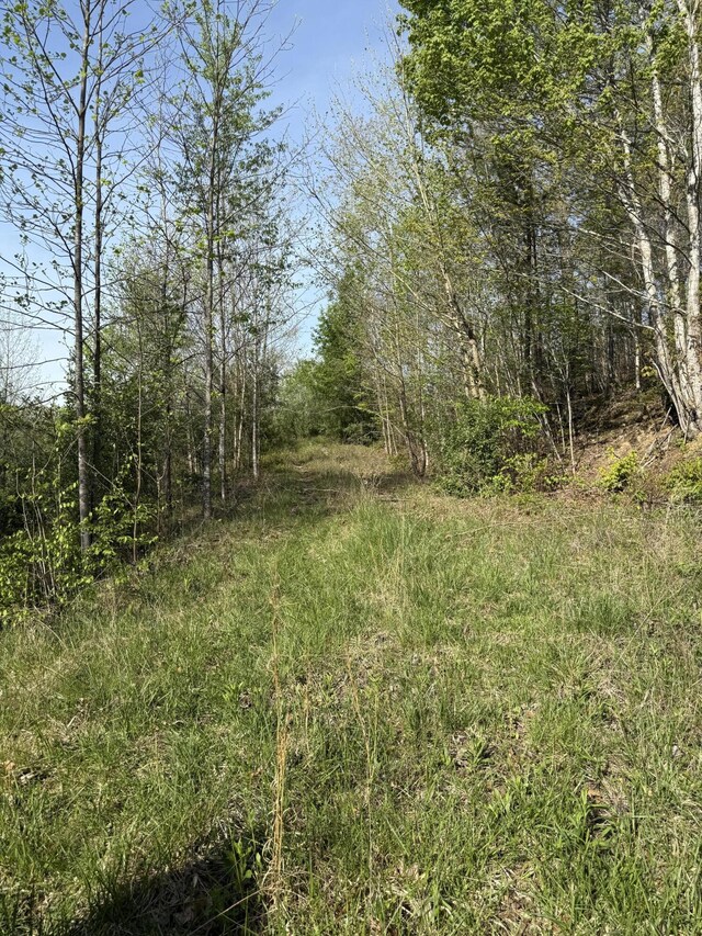 1 Low Gap Rd, Pine Knot, KY 42635