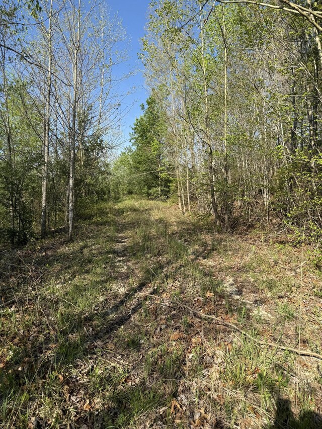 1 Low Gap Rd, Pine Knot, KY 42635