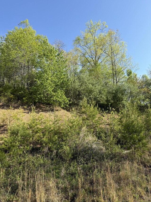 1 Low Gap Rd, Pine Knot, KY 42635