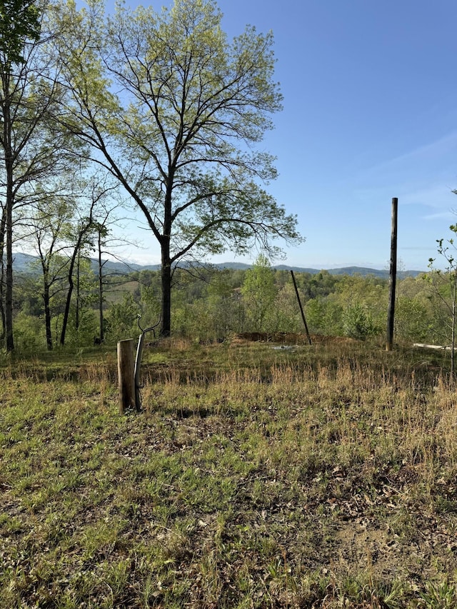 1 Low Gap Rd, Pine Knot, KY 42635