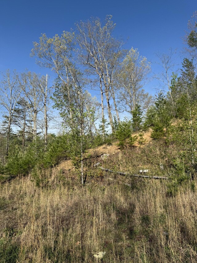 1 Low Gap Rd, Pine Knot, KY 42635
