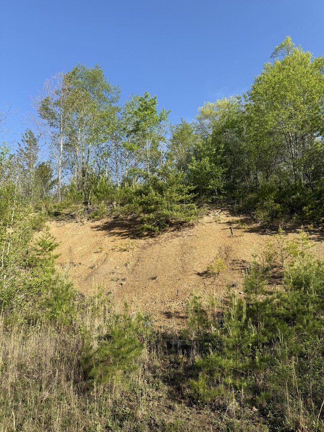 1 Low Gap Rd, Pine Knot, KY 42635