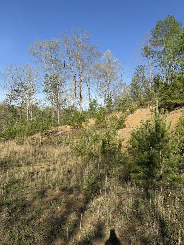1 Low Gap Rd, Pine Knot, KY 42635