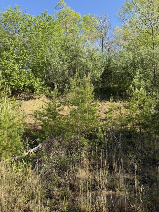 1 Low Gap Rd, Pine Knot, KY 42635