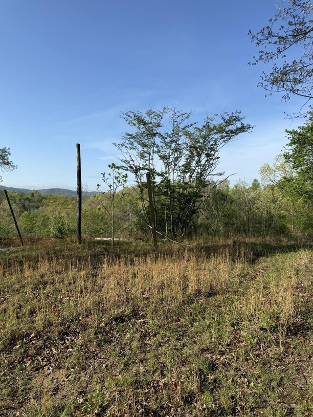 1 Low Gap Rd, Pine Knot, KY 42635