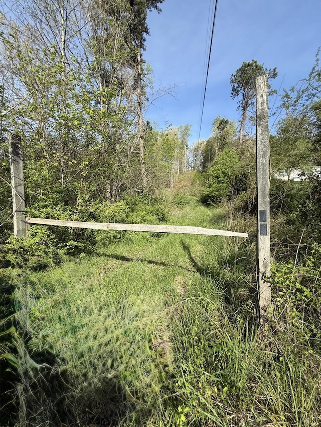 1 Low Gap Rd, Pine Knot, KY 42635