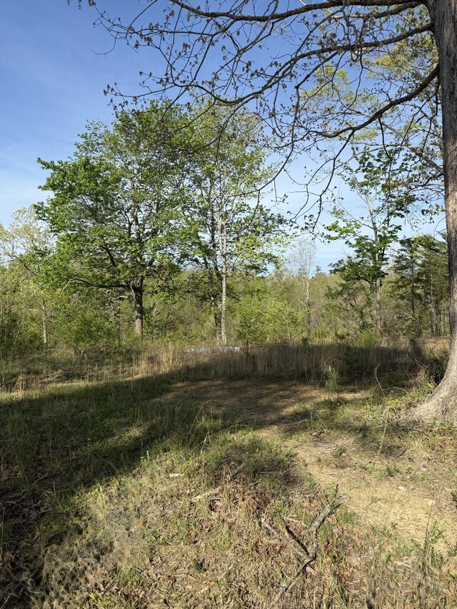 1 Low Gap Rd, Pine Knot, KY 42635
