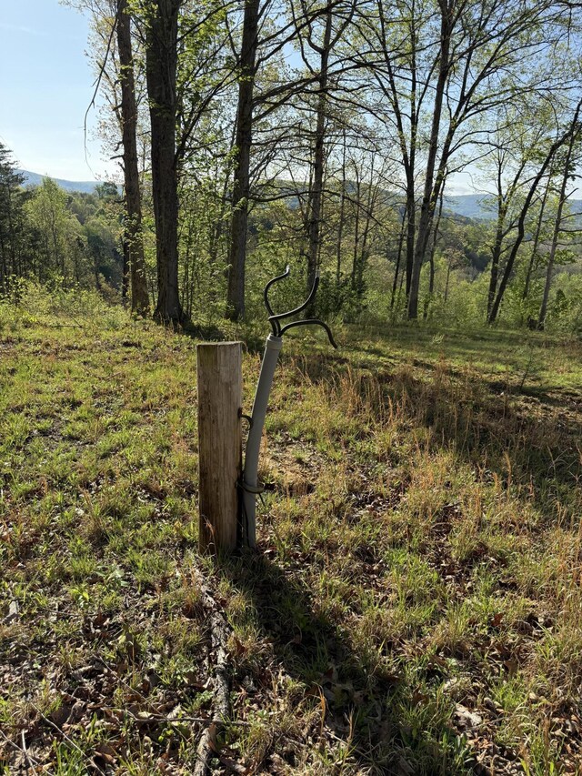 1 Low Gap Rd, Pine Knot, KY 42635