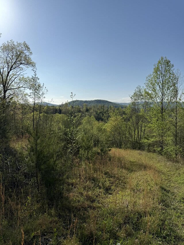 1 Low Gap Rd, Pine Knot, KY 42635