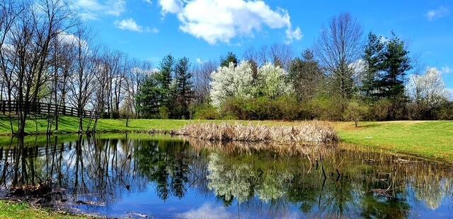 823 Lochmere Pl, Lexington, KY 40509 - water view