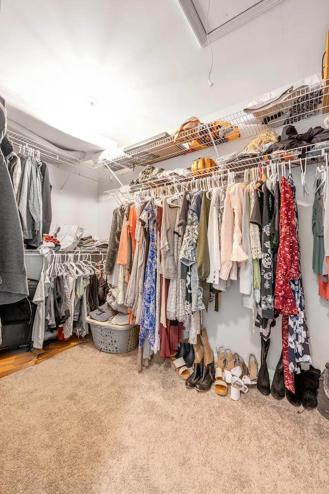 4805 Laurel Creek Cir, Lexington, KY 40515 - walk in closet featuring attic access and carpet flooring