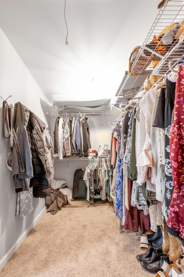 4805 Laurel Creek Cir, Lexington, KY 40515 - walk in closet featuring carpet flooring