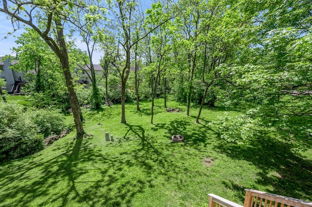 4805 Laurel Creek Cir, Lexington, KY 40515 - view of grassy yard