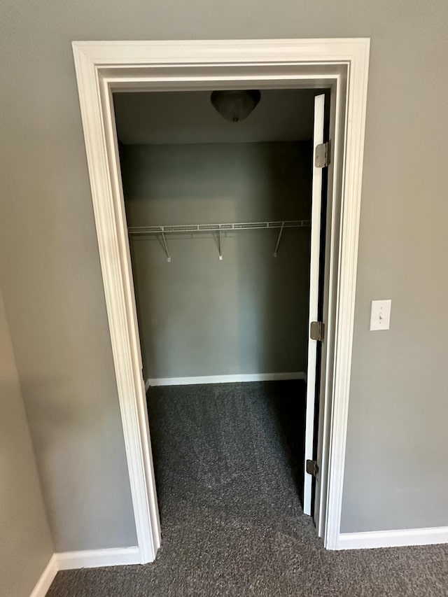 walk in closet with carpet