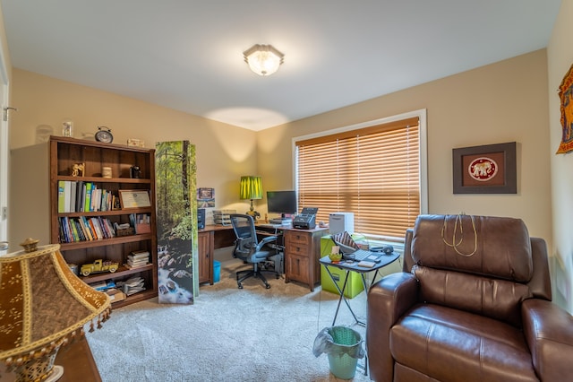office space with light carpet