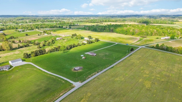 2805 W W Ridge Rd, Eubank, KY 42567 - drone / aerial view