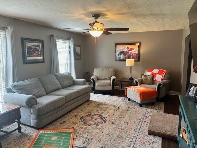 living room featuring ceiling fan and wood finished floors
