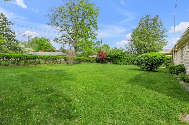 view of yard