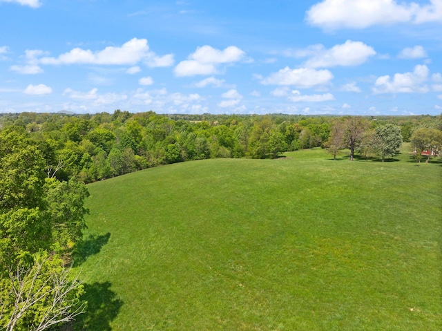 223 Lanetown Rd, Nancy, KY 42544 - birds eye view of property featuring a forest view