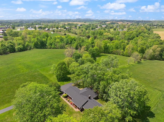 223 Lanetown Rd, Nancy, KY 42544 - aerial view