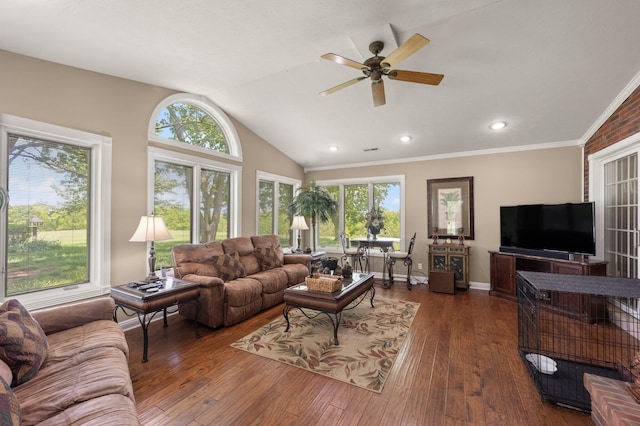 223 Lanetown Rd, Nancy, KY 42544 - living area with a ceiling fan, a wealth of natural light, lofted ceiling, and dark wood-type flooring