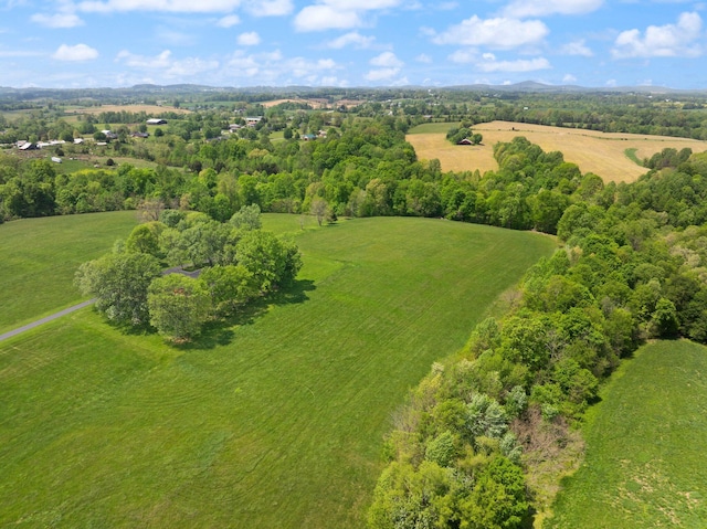 223 Lanetown Rd, Nancy, KY 42544 - drone / aerial view