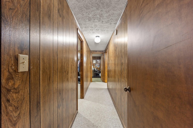 223 Lanetown Rd, Nancy, KY 42544 - corridor featuring light carpet, wood walls, and a textured ceiling