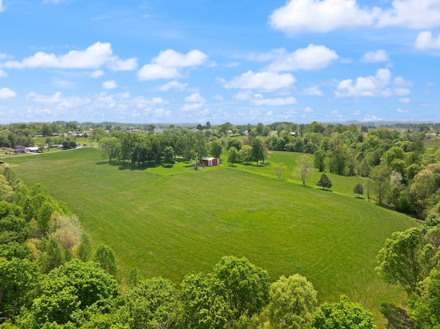 223 Lanetown Rd, Nancy, KY 42544 - bird's eye view with a rural view