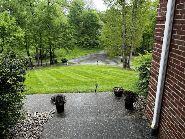 300 Woodlawn Dr, Carrolton, KY 41008 - view of green lawn