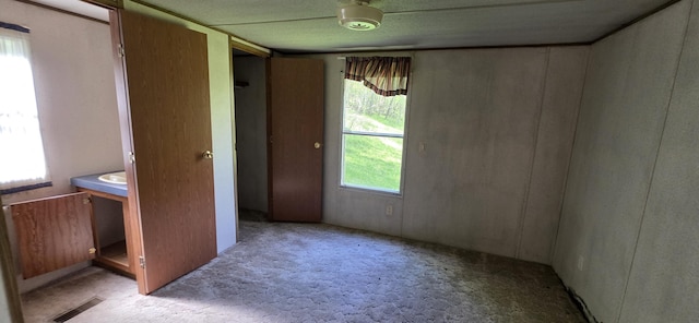 interior space with light carpet and visible vents
