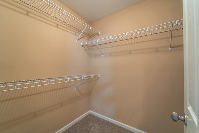 165 Meridian Way, Richmond, KY 40475 - spacious closet featuring carpet flooring