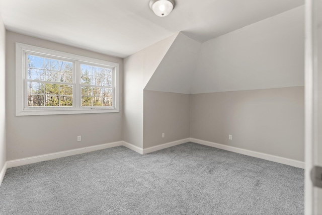 additional living space with baseboards and carpet flooring