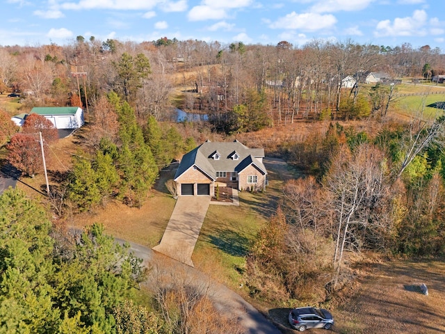 bird's eye view