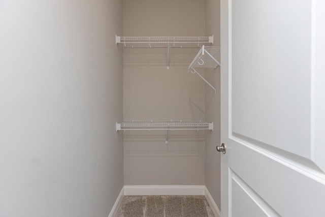 walk in closet with carpet