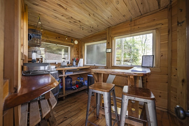 interior space with wood walls, lofted ceiling, a healthy amount of sunlight, and hardwood / wood-style flooring