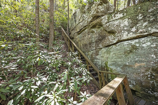 view of local wilderness