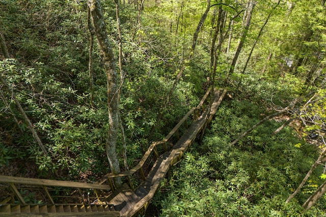 view of nature with a forest view