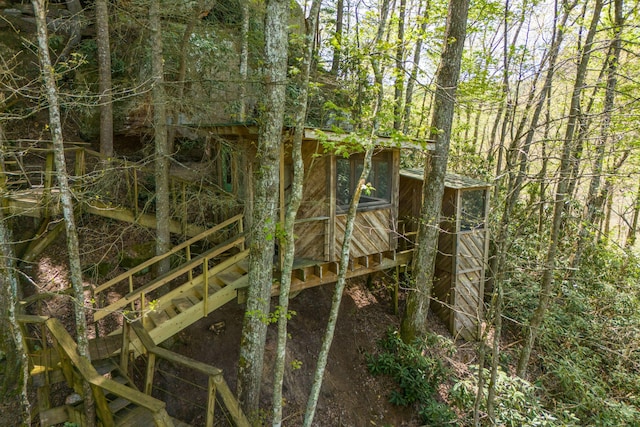 view of local wilderness