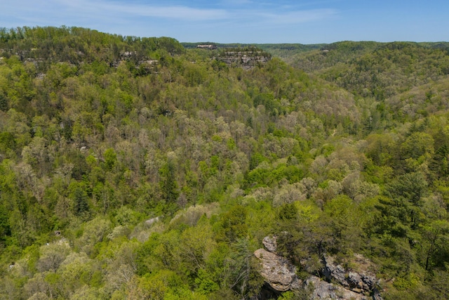 bird's eye view featuring a view of trees